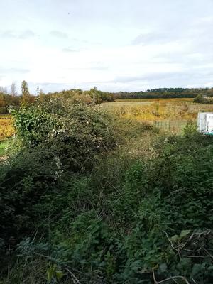 Maison - 140 m² - 1 pièce