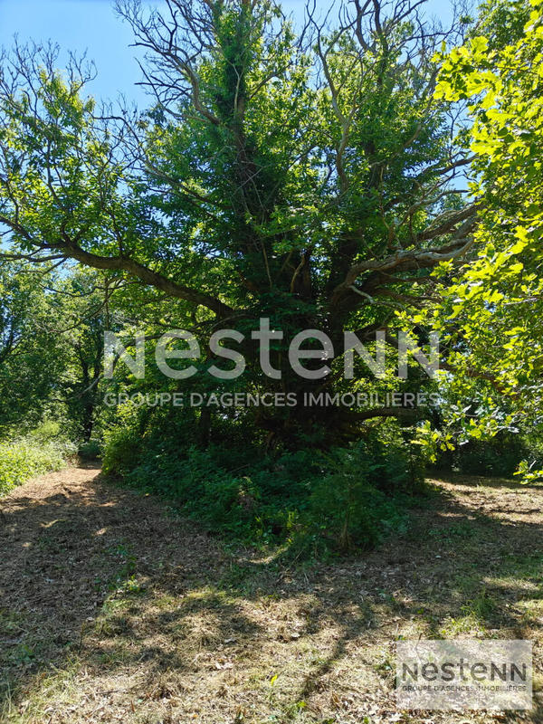 Terrain - 270 000 m²