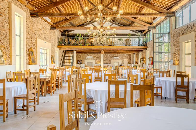 Maison de domaine - 2 500 m² - 25 pièces