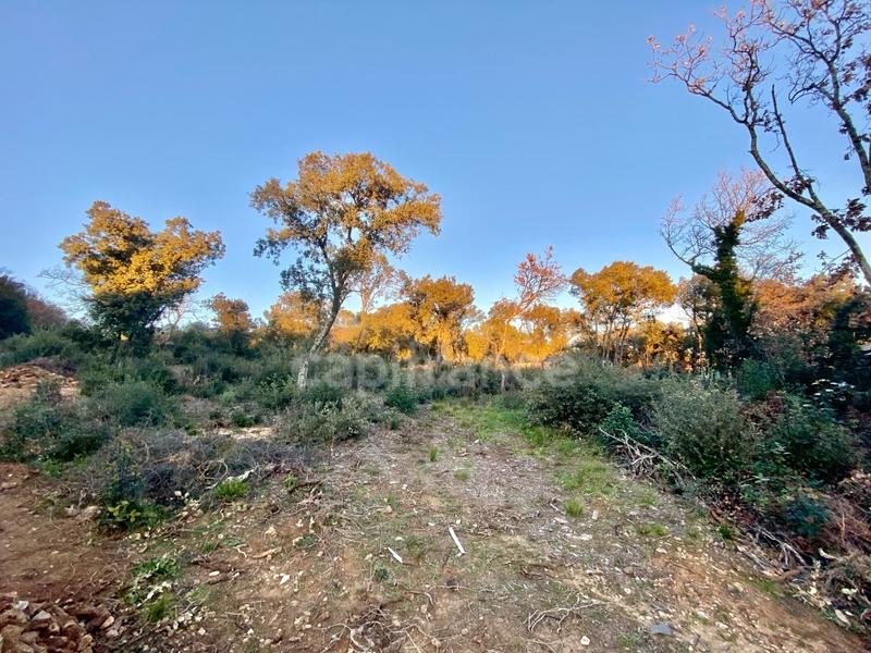 Terrain constructible - 850 m²