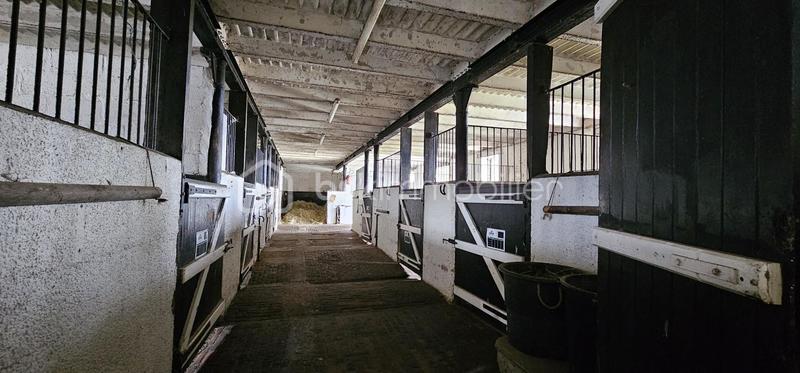 Immeuble - 700 m² - 20 pièces