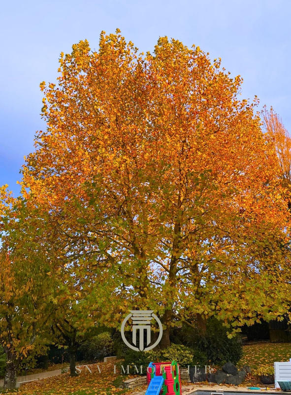 Villa - 247 m² - 7 pièces