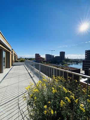 Duplex - 116 m² - 5 pièces