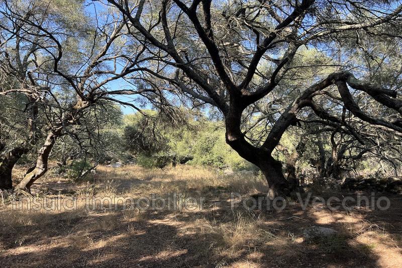 Villa - 277 m² - 10 pièces