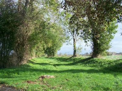 Les randonnées automnales 2025