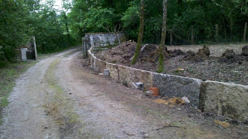 Espace vert parc et jardin, élagage