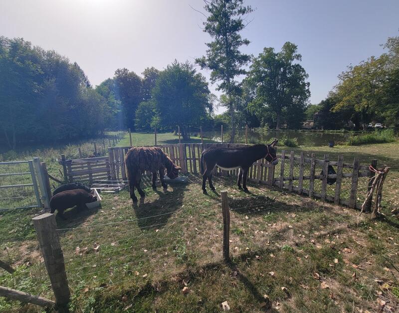 Moulin - 298 m² - 11 pièces