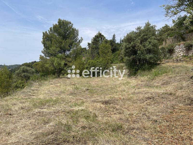 Terrain - 7 932 m²