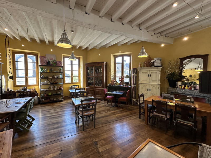 Fonds de commerce - Magasins - 195 m²