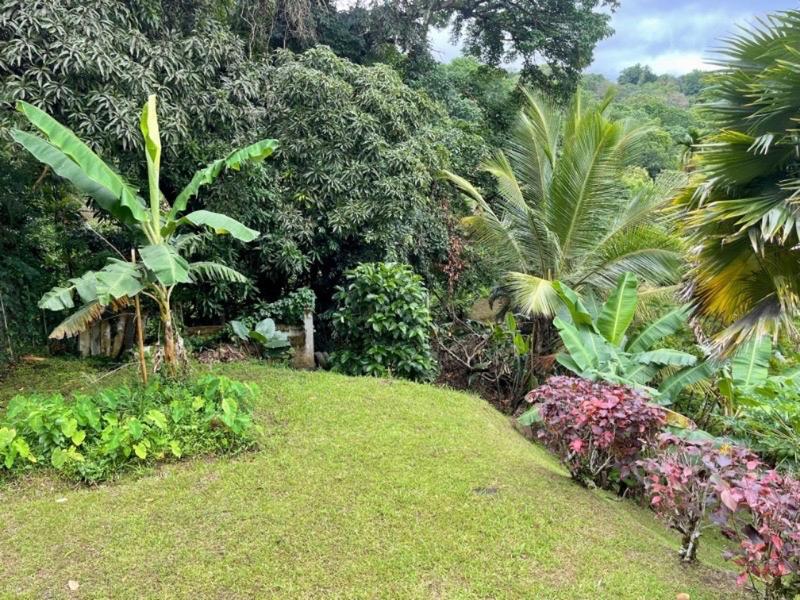 Maison - 250 m² - 8 pièces