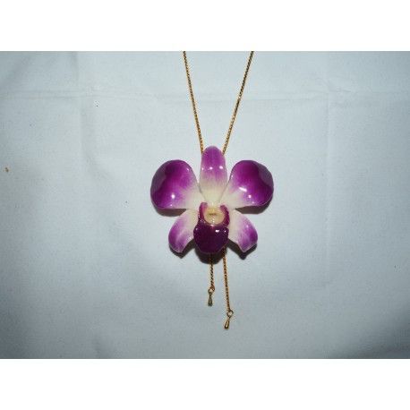 Tendance Orchidee