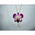 Tendance Orchidee