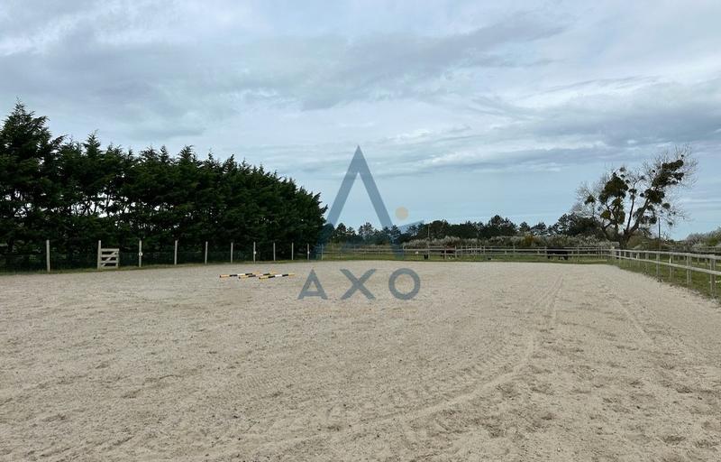 Haras - 220 m² - 7 pièces