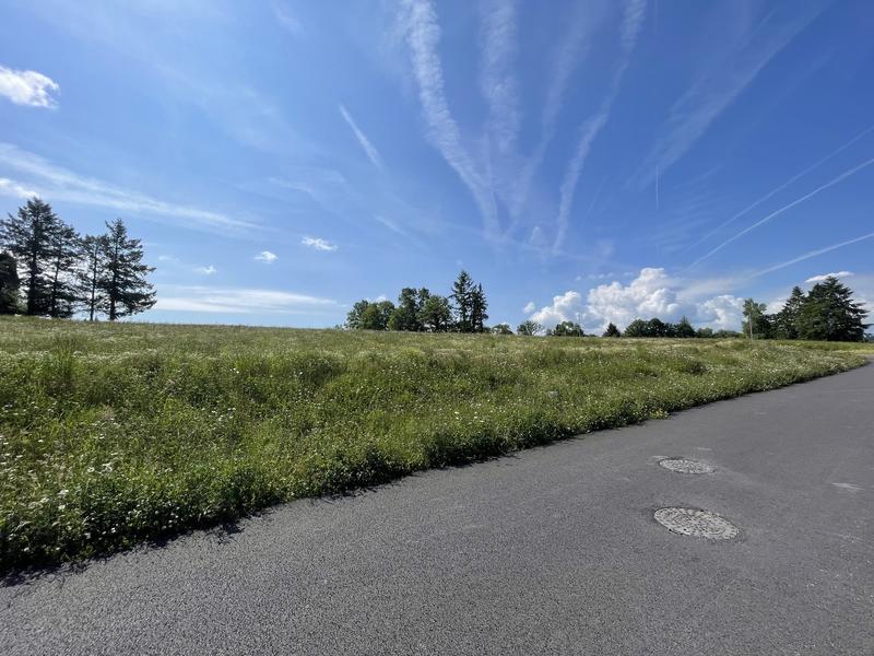 Terrain constructible - 1 267 m²