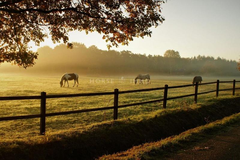 Fonds de commerce - 89 806 m²