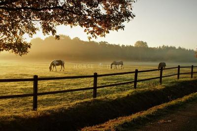 Fonds de commerce - 89 806 m²