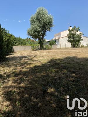 Terrain - 708 m²