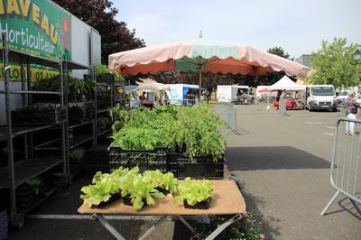 Marché de Noël à Solesmes