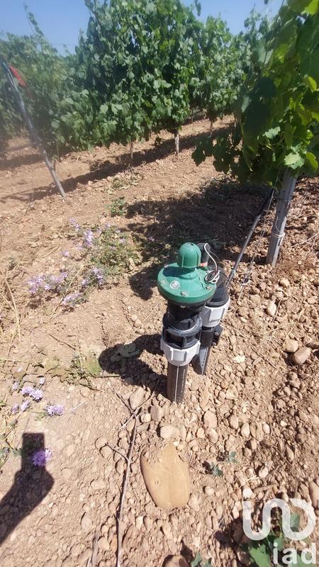 Terrain - 10 954 m²