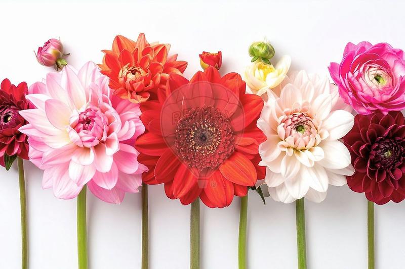 Magasins - 200 m² - 1 pièce