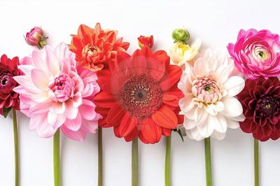 Magasins - 200 m² - 1 pièce