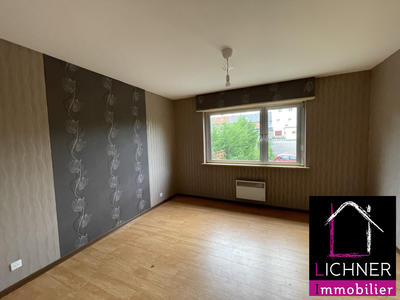Appartement - 50 m² - 2 pièces