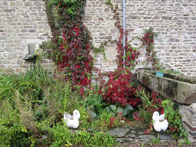 Propriété - 198 m² - 8 pièces