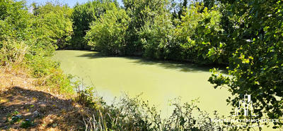 Maison - 136 m² - 7 pièces