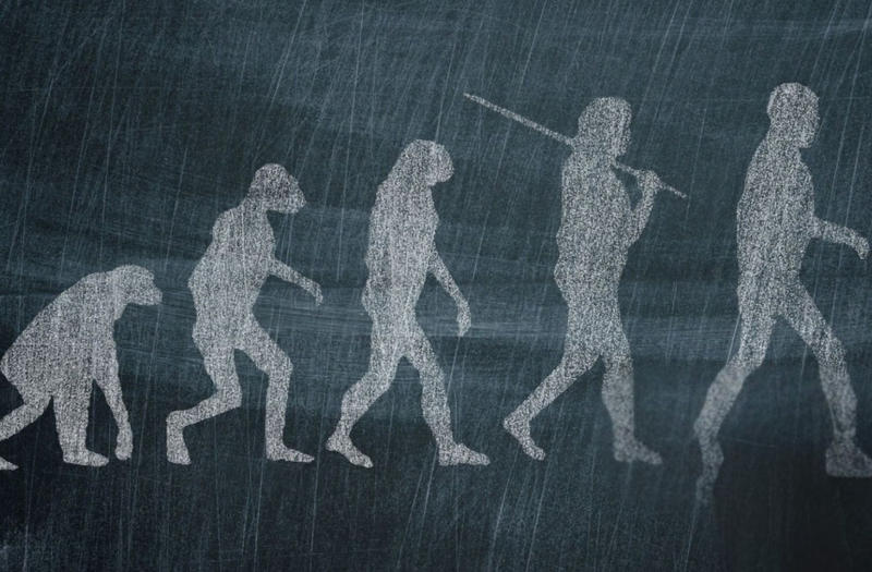 Conférence | Néandertal : état des connaissances