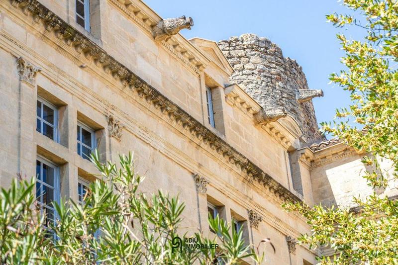 Château - 550 m² - 11 pièces