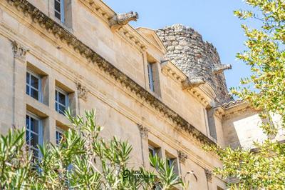 Château - 550 m² - 11 pièces