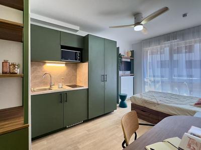 Studio - 19 m² - 1 pièce