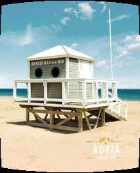 Appartement - 50 m² - 3 pièces