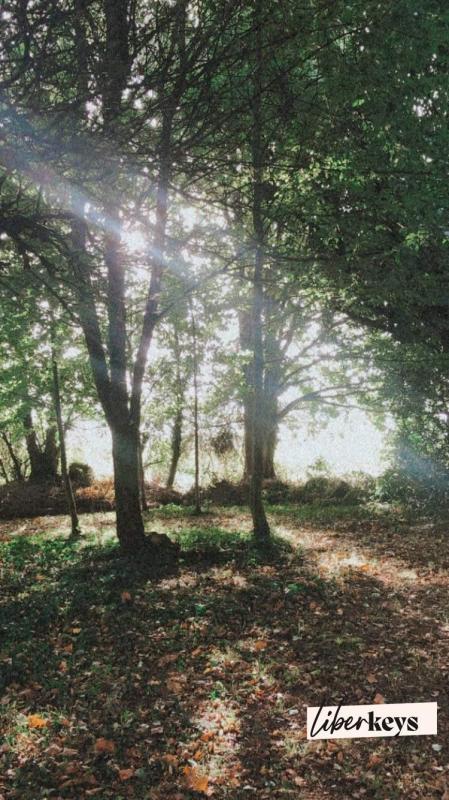 Longère - 160 m² - 5 pièces