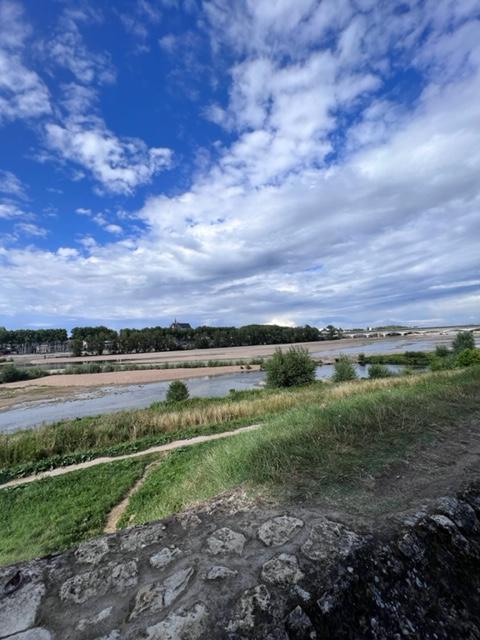 Bureau - 17 m² - 1 pièce