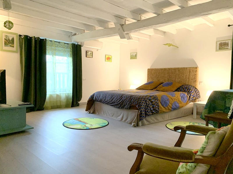 Maison - 455 m² - 10 pièces