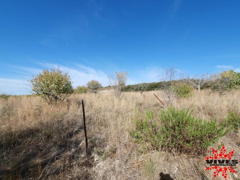 Terrain agricole - 5 075 m²