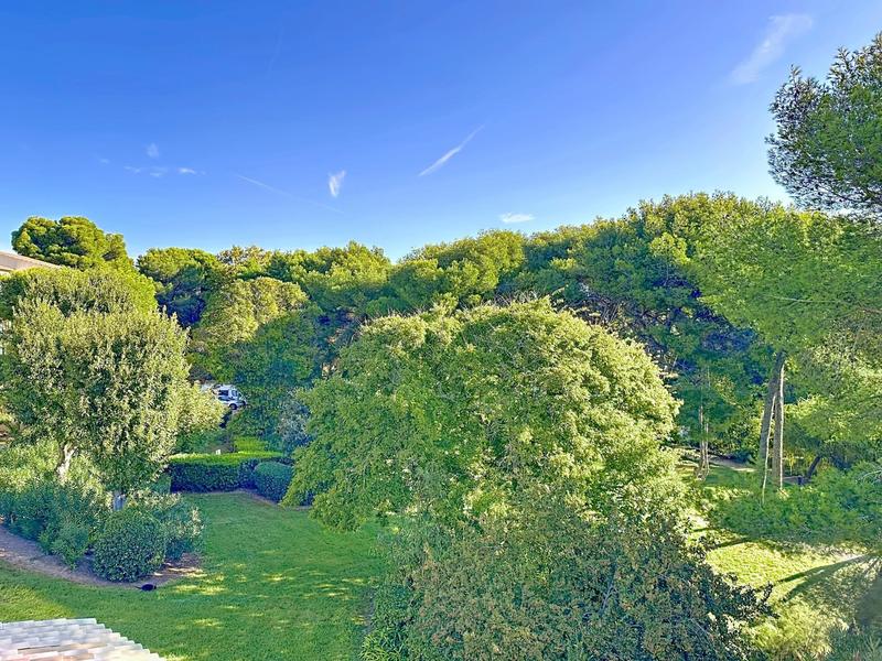 Duplex - 50 m² - 2 pièces