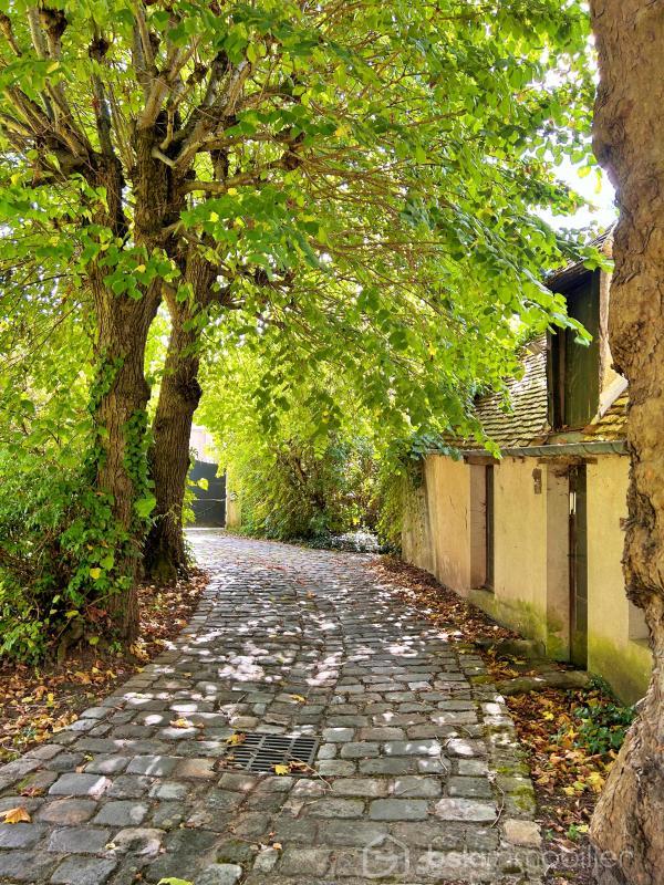 Maison de maîtres - 317 m² - 11 pièces