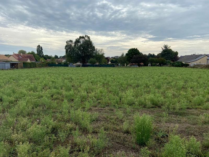 Terrain constructible - 4 421 m²