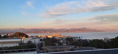 Appartement - 26 m² - 1 pièce