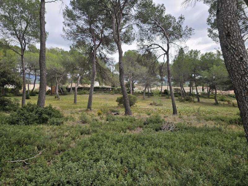 Villa - 75 m² - 4 pièces