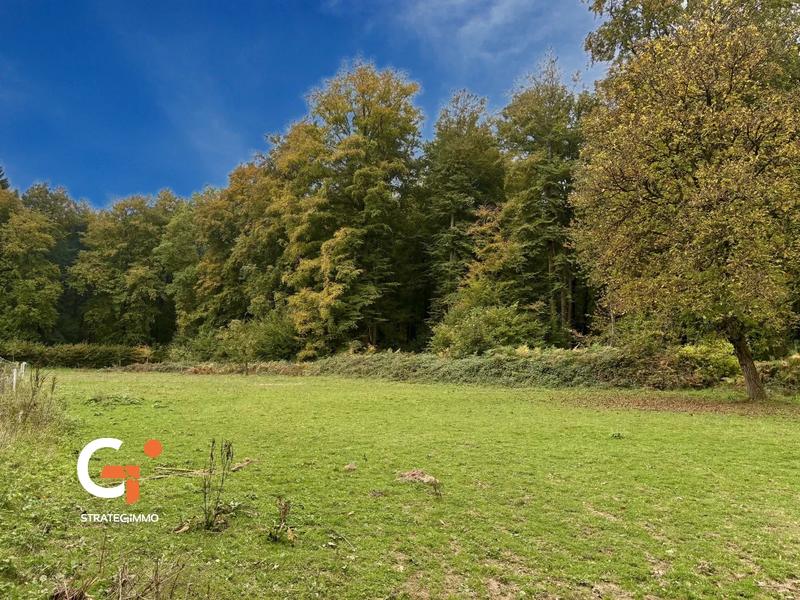 Maison de domaine équestre