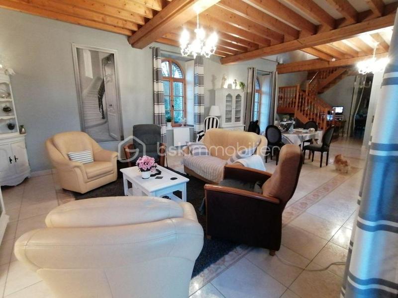 Moulin - 297 m² - 9 pièces