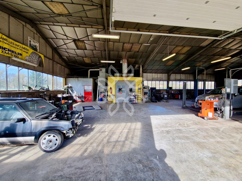 Local commercial - 520 m²