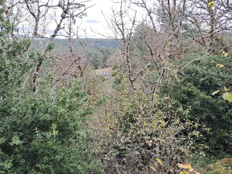 Bastide - 16 m² - 1 pièce