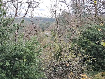 Bastide - 16 m² - 1 pièce