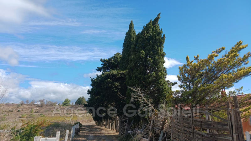 Maison de domaine équestre - 222 m² - 8 pièces