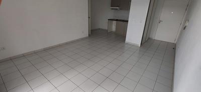 Appartement - 55 m² - 3 pièces