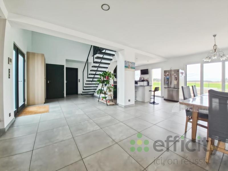 Pavillon - 270 m² - 8 pièces